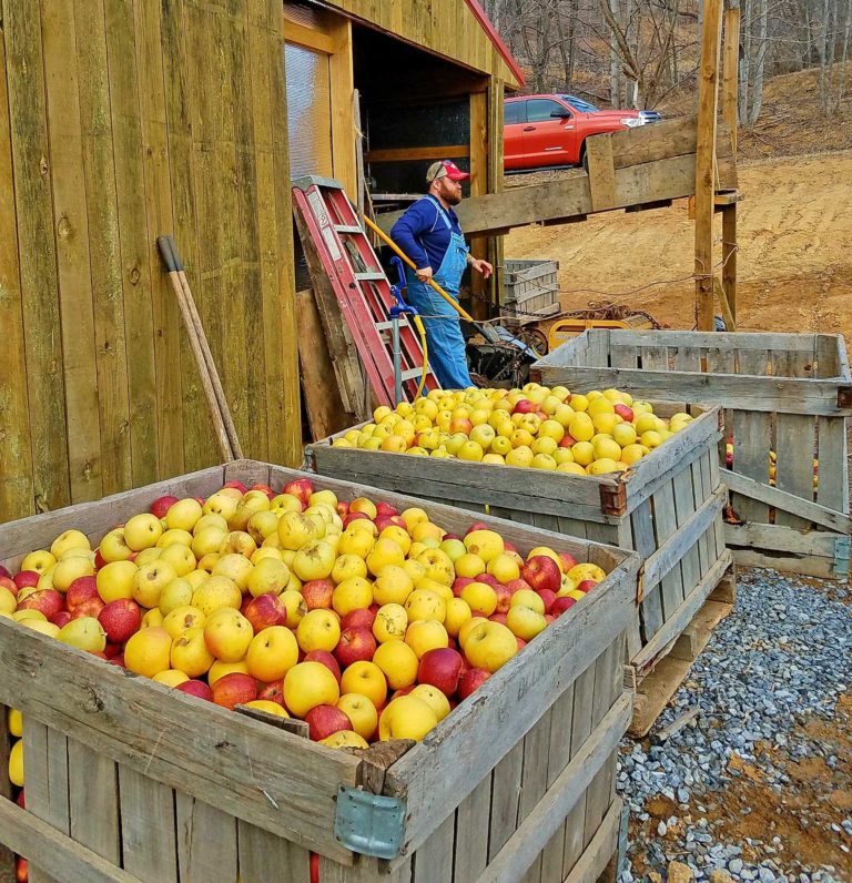 Farm Experiences Destination Bedford