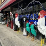 Zimmerman’s A Little Bit of Everything