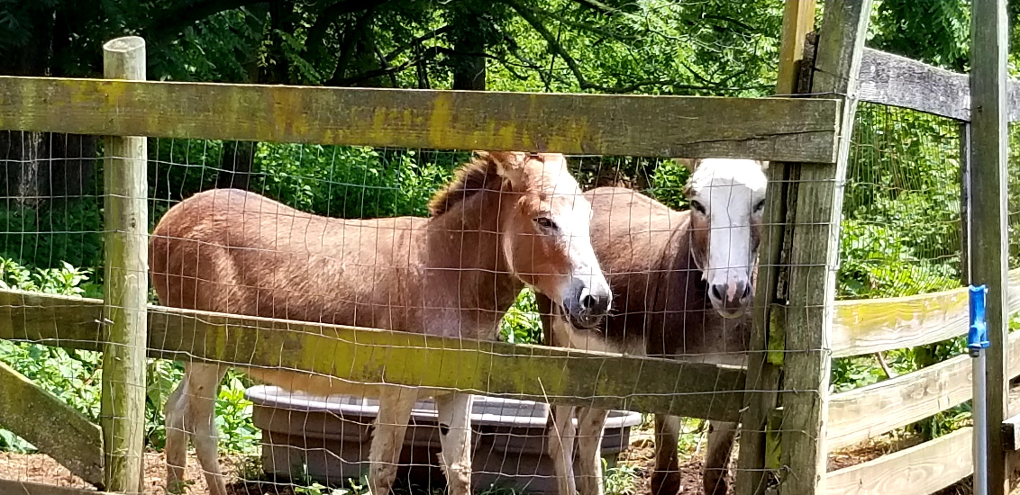 WanderLove at Peaks of Otter Winery & Johnson's Orchard - Destination