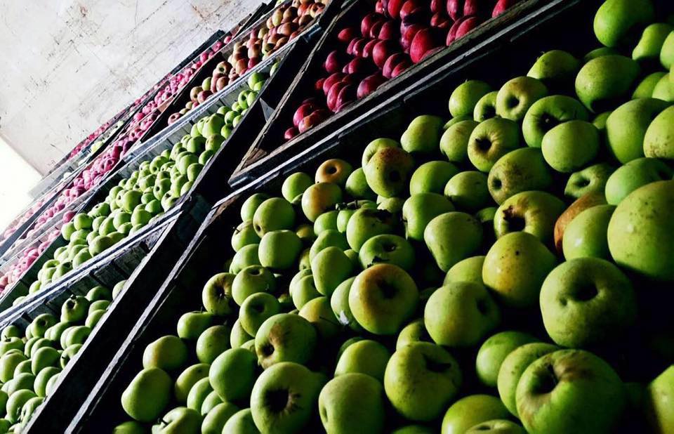 WanderLove at Peaks of Otter Winery & Johnson's Orchard - Destination