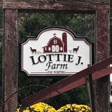 Lottie J Farm
