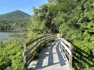 Abbott Lake Trail bridge