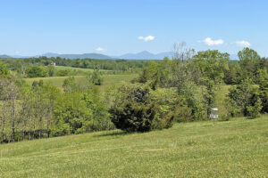 disc golf course in Moneta