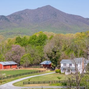 Peaks of Otter Farm Stay