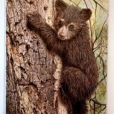 Olde Dominion Artworks