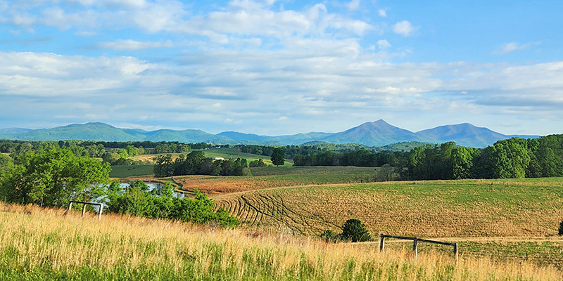 Joppa Mill with a view of the Peaks of Otter by Nicole Johnson